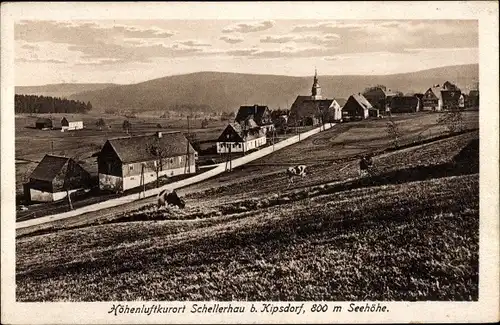 Ak Schellerhau Altenberg im Erzgebirge, Teilansicht, Kirche