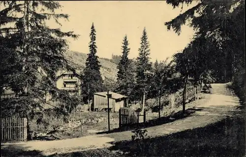 Ak Schellerhau Altenberg im Erzgebirge, Fremdenhof Schellermühle