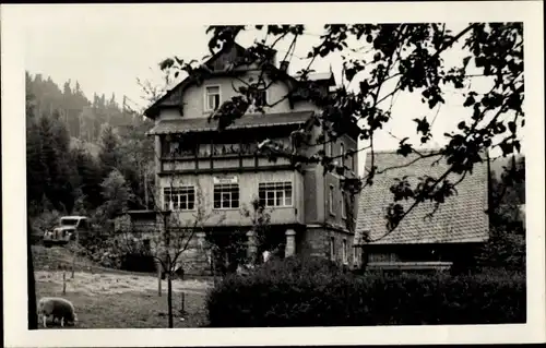 Ak Hirschsprung Altenberg Erzgebirge, Waldhaus Böttrich