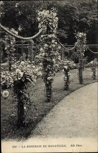 Ak Paris XVI, Bois de Boulogne, Der Rosengarten von Bagatelle