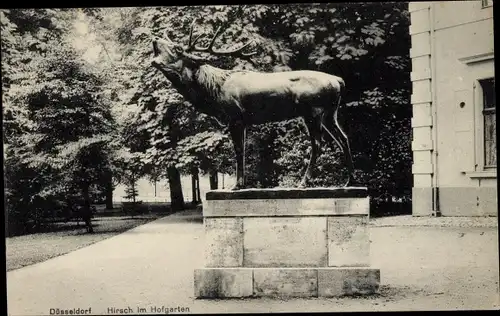 Ak Düsseldorf am Rhein, Hofgarten, Hirschplastik