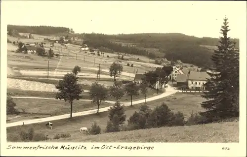 Foto Ak Müglitz Altenberg im Erzgebirge, Panorama