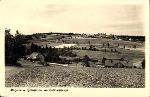 Ak Müglitz Altenberg im Erzgebirge, Gottgetreu, Panorama