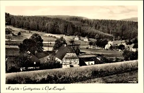 Ak Müglitz Altenberg im Erzgebirge, Gottgetreu, Panorama vom Ort