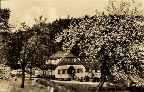 Ak Weißenborn Holzland Thüringen, Mühltal, Waldhaus Meuschkensmühle, blühende Bäume