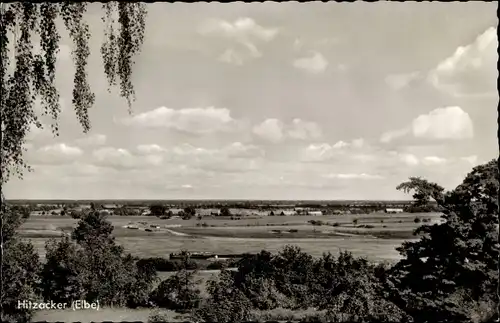 Ak Hitzacker an der Elbe, Panorama, Kurhotel Waldfrieden