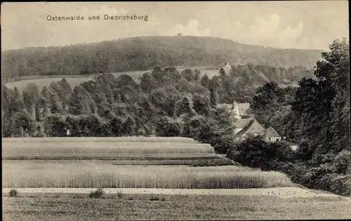 Ak Melle in Niedersachsen, Ostenwalde und Diedrichsburg