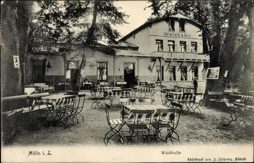 Ak Mölln im Herzogtum Lauenburg, Waldhalle