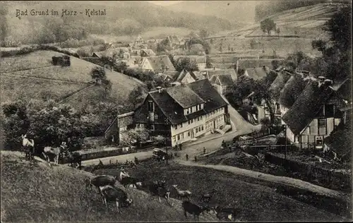 Ak Bad Grund im Harz, Ort im Kelstal