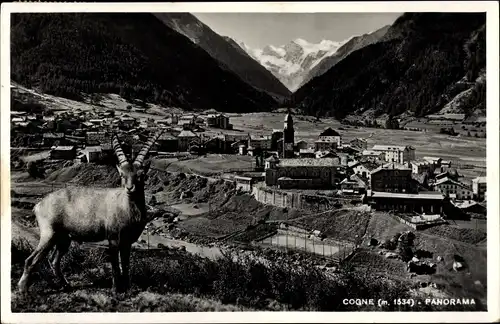 Ak Cogne Aostatal, Gesamtansicht