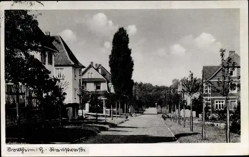 Ak Northeim in Niedersachsen, Raustraße, Straßenpartie