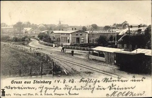 Ak Steinberg in Schleswig Holstein, Bahnhof, Schlachterei H. Brix, Windmühle