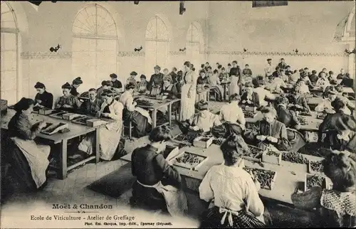 Ak Epernay Marne, Moët Chandon, Pfropfwerkstatt