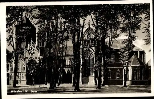Ak Münster in Westfalen, Dom, Außenansicht, Turm