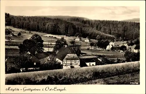 Ak Müglitz Altenberg im Erzgebirge, Gottgetreu, Panorama vom Ort