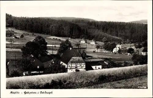 Ak Müglitz Altenberg im Erzgebirge, Teilansicht, Gottgetreu