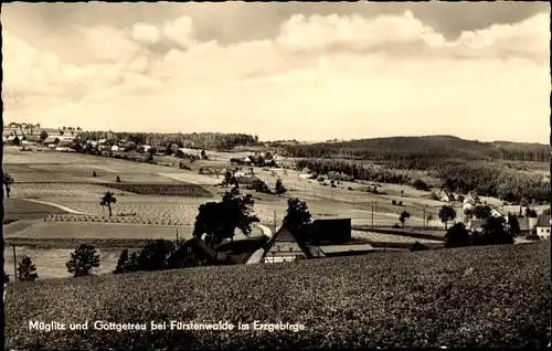 Ak Müglitz Altenberg im Erzgebirge, Panorama, Gottgetreu