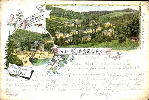 Vorläufer Litho Kipsdorf Altenberg im Erzgebirge, Hotel und Restaurant Halali, Totalansicht, 1895