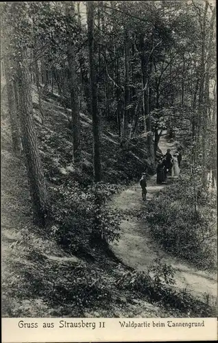 Ak Strausberg in der Mark, Tannengrund