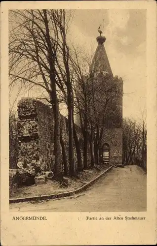 Ak Angermünde in der Uckermark, Alte Stadtmauer, Turm