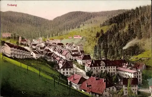 Ak Triberg im Schwarzwald, Blick auf den Ort, Wald, Berge