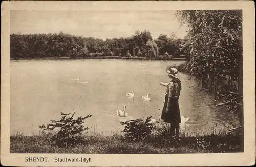 Ak Rheydt Mönchengladbach am Niederrhein, Stadtwald-Idyll, Schwäne, junge Frau