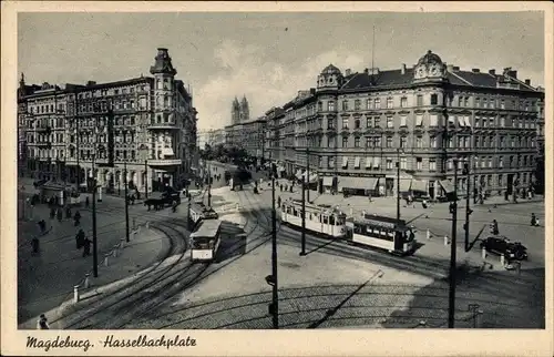 Ak Magdeburg, Hasselbachplatz, Straßenbahnen