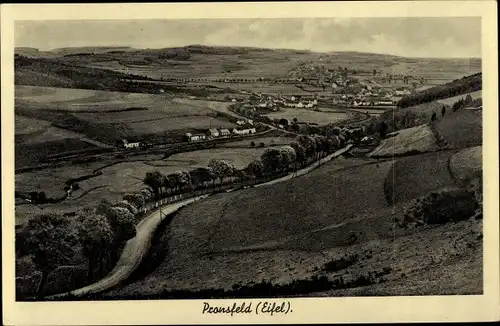 Ak Pronsfeld in der Eifel, Panorama