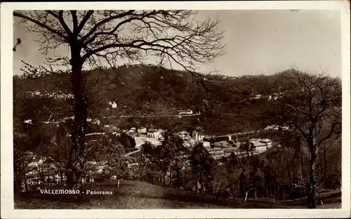 Ak Valle Mosso Piemonte, Panorama