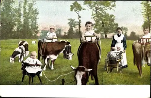 Ak Kinder reiten auf Kühen, Wiese, Kinderwagen, Fotomontage