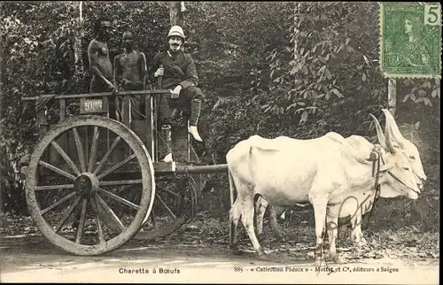 Ak Vietnam, Fuhrwerk, Rinder, Wald