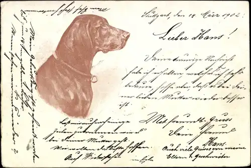 Litho Hund, Tierportrait, Halsband