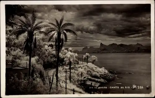 Ak Rio de Janeiro Brasilien, Panorama, Palmen