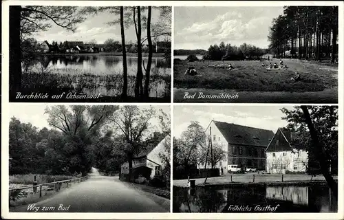 Ak Ochsensaal Dahlen Nordsachsen, Bad Dammühlenteich, Fröhlichs Gasthof