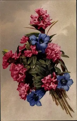 Ak Nenke und Ostermaier 504 737, Enzian und Rhododendron, Photochromie