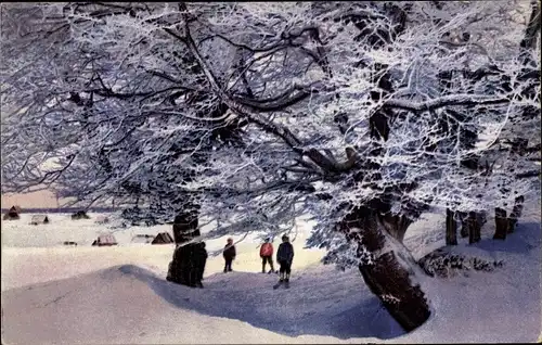 Ak Zinnwald Georgenfeld Altenberg im Erzgebirge, Winter, Verschneite Bäume