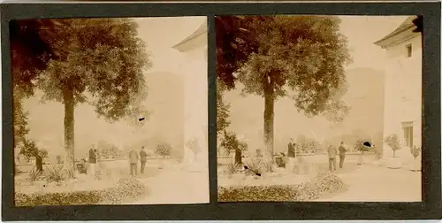 Stereo Foto Theys Isere, Ortspartie, 1926