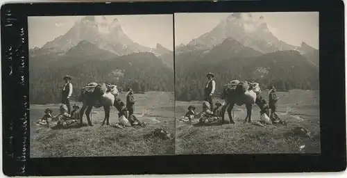 Stereo Foto Wanderer mit Pferd im Gebirge