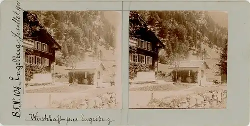 Stereo Foto Zieblen Engelberg Kt. Obwalden Schweiz, Wirtschaft, 1900