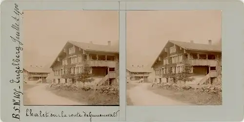 Stereo Foto Zieblen Engelberg Kt. Obwalden Schweiz, Chalet, Straßenpartie, 1900