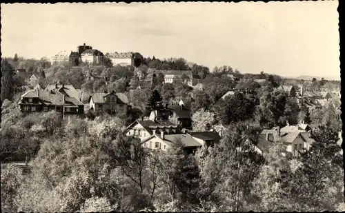 Ak Ballenstedt im Harz, Ortsansicht