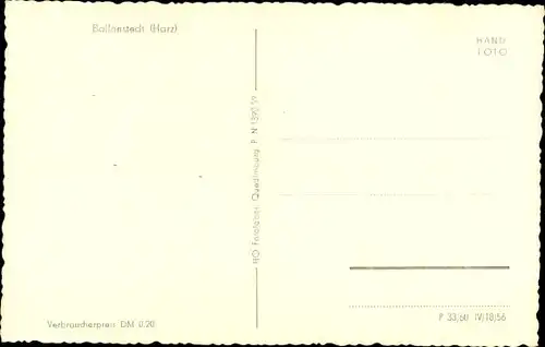 Ak Ballenstedt im Harz, Ortsansicht