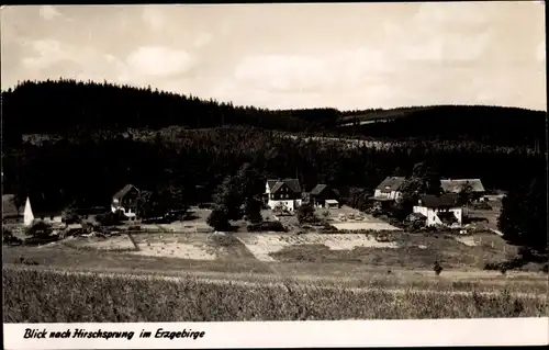 Ak Hirschsprung Altenberg Erzgebirge, Teilansicht