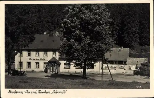 Ak Hirschsprung Altenberg Osterzgebirge, Ferienheim Ladenmühle