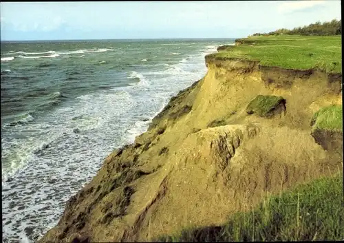 Ak Ostseebad Ahrenshoop Fischland, Steilküste