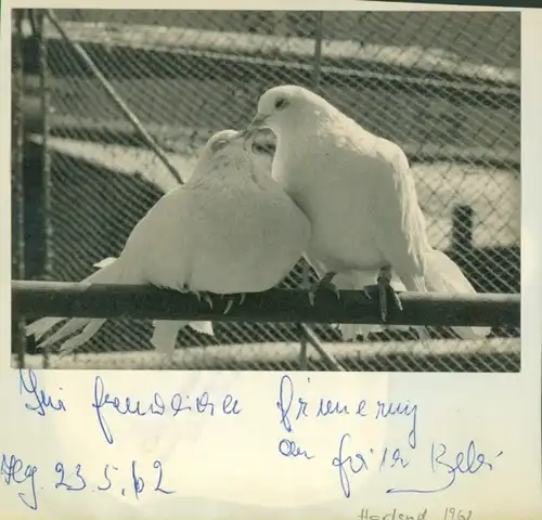 Autogrammkarte Jongleur Harland ?, Variete Vaterland 1962, Autogramm