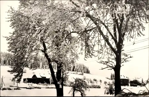 Ak Müglitz Altenberg im Erzgebirge, Teilansicht, Winter