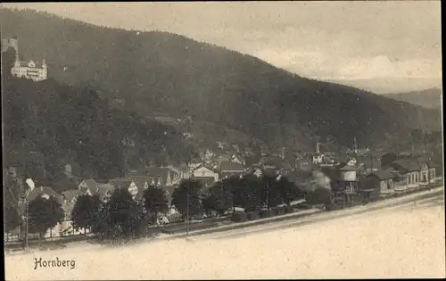 Ak Hornberg im Schwarzwald, Ortsansicht