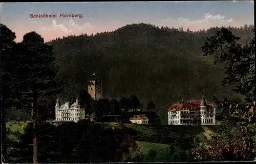 Ak Hornberg im Schwarzwald, Schlosshotel