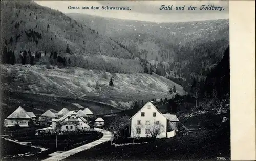 Ak Fahl am Feldberg Todtnau im Schwarzwald, Panorama